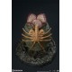 Aliens Statue Alien Egg 13 cm